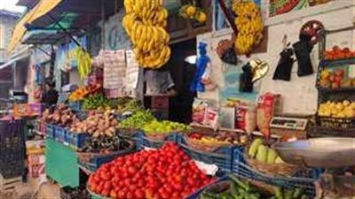 نقيب الفلاحين يكشف موعد انخفاض أسعار العنب