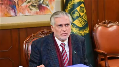  وزير الخارجية الباكستاني: الخيار النووي لم يكن مطروحاً لحل الأزمة مع الهند