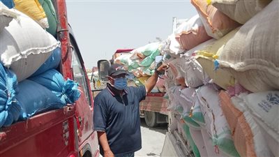 محافظ الجيزة: استلام 66 ألف طن قمح محلي بمراكز التوريد والتخزين