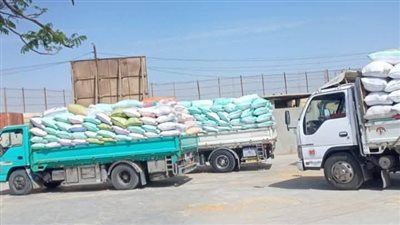 توريد 368 ألف طن قمح بمواقع التخزين في الشرقية