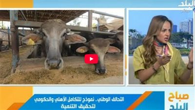 التحالف الوطني للعمل الأهلي يعلن استعداداته لعيد الأضحى بدعم الأسر الأكثر احتياجًا 