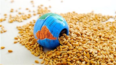 تعزيز الأمن الغذائي.. جهود الزراعة متواصلة لضمان الاكتفاء وتحقيق الاستدامة