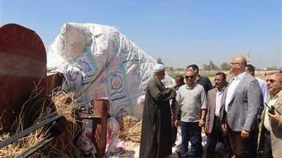 محافظ القليوبية: توريد 413 ألف طن قمح بالشون والصوامع 