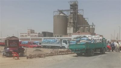 توريد 128 ألف طن قمح بشون وصوامع الفيوم 