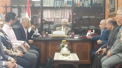 جنوب الدلتا لتوزيع الكهرباء تحصل على شهادة الأيزو 