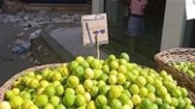 استقرار نسبي مع ارتفاع طفيف في أسعار الليمون