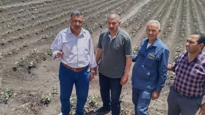 ندوة إرشادية للنهوض بمحصول القطن بمركز أولاد صقر 