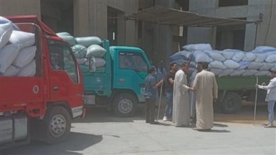 توريد 134631 طن من القمح للشون والصوامع بالفيوم