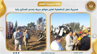 جهود وزارة العمل في مجال السلامة والصحة المهنية.. تفاصيل