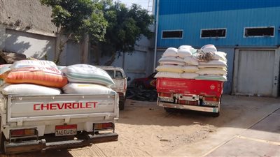 شون وصوامع البحيرة تواصل إستقبال محصول القمح 