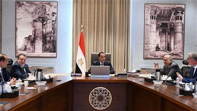 الحكومة تناقش خطة توفير المنتجات البترولية لتشغيل محطات الكهرباء استعدادًا للصيف 