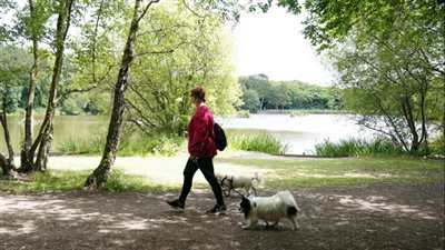 دراسة تكشف دور المشي في علاج نوبات الألم وتحسين الحالة الصحية