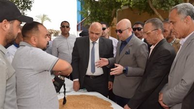 محافظ بني سويف: استلام 145 ألف طن من القمح المحلي بمواقع التخزين