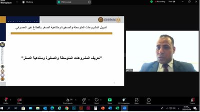 الرقابة المالية تنظم ورشة عمل افتراضية لتعزيز مستويات الثقافة المالية