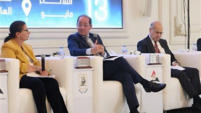 وزير المالية: تبسيط الإجراءات الضريبية والجمركية وخفض تكاليف الإنتاج فى مصر