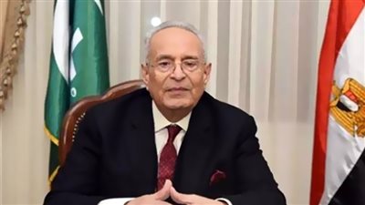 بهاء أبوشقة للمشاركين فى منحة ناصر للقيادة الدولية: انقلوا لبلادكم أن مصر واحة الامن والأمان