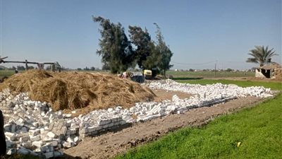 إزالة 15 حالة تعدٍ على الأراضي الزراعية وأملاك الدولة فى 3 مراكز بالبحيرة