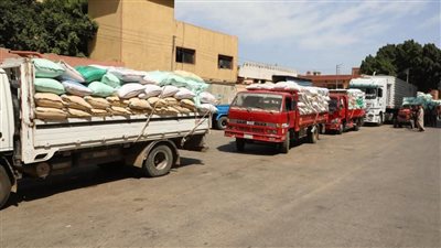 توريد 140377 طنا من القمح بالصوامع والشون في الفيوم