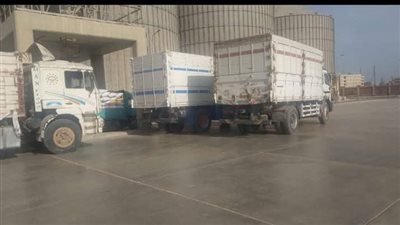 توريد 444 ألف طن قمح لصوامع وشون الشرقية