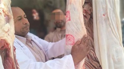 ضبط 700 كجم لحوم ودواجن غير صالحة في حملات تفتيش بالشرقية