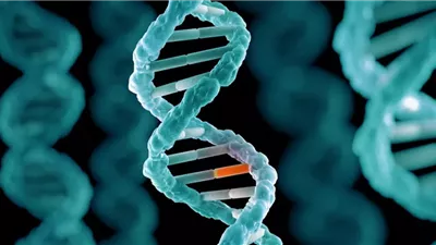 تطوير أداة لحساب تواتر الطفرات في الحمض النووي 