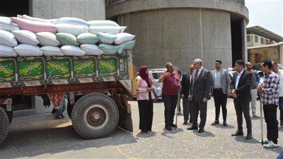 محافظ الغربية يتفقد توريد القمح بطنطا