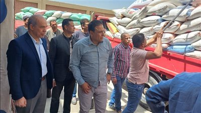 توريد 145 ألف طن قمح بشون صوامع الفيوم 
