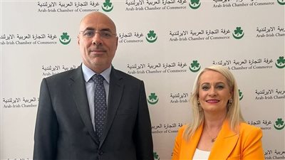 السفير المصري في دبلن يلتقي وزيرة الدولة الأيرلندية للتجارة والذكاء الاصطناعي