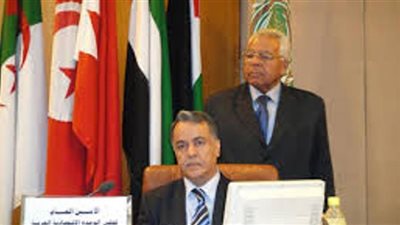 مجلس الوحدة الاقتصادية يهنئ السيسى بافتتاح قناة السويس الجديدة