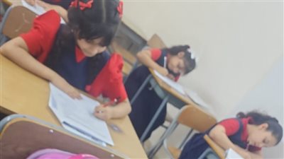 طيور مصر الصغيرة في البحرين يستكملون اختبارات 