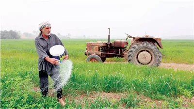 التحول الرقمي في القطاع الزراعي (2026 - 2030)