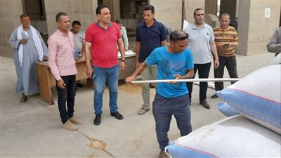 توريد 153660 طنا من القمح بالشون والصوامع في الفيوم