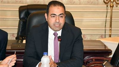 رئيس اتحاد شباب المصريين بالخارج: الدولة نجحت في مواجهة الهجرة غير الشرعية