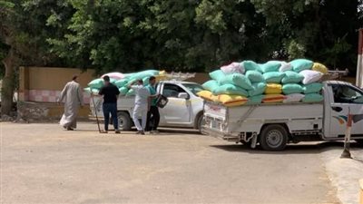 الشرقية تقترب من نصف مليون طن قمح في موسم التوريد