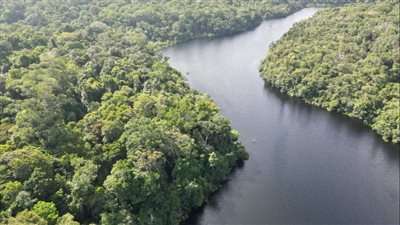 خطر جديد يهدد غابات الأمازون المطيرة والسبب الجفاف المفاجئ 