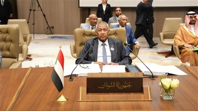 سفير السودان بالقاهرة: قمة بغداد بداية لعهد جديد من العمل العربي المشترك 
