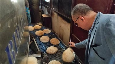 ضبط  25 طن دقيق ولحوم ودواجن بالدقهلية