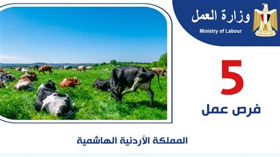 5 فرص عمل بمجال تربية المواشي في الأردن.. التفاصيل