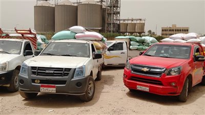 انتظام  أعمال توريد القمح المحلي بمحافظة البحيرة 