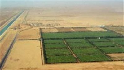 الزراعة الذكية في قلب الصحراء.. انطلاق المرحلة الثانية من مزرعة 