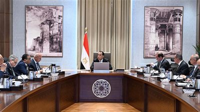 مدبولى يتابع تطوير المنظومة الجمركية وإجراءات التسجيل المُسبق للشحنات