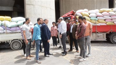  محافظ الغربية يتفقد مواقع تخزين القمح بطنطا