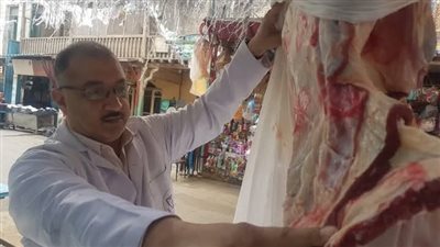 رقابة مشددة.. بيطري الشرقية يضبط طن لحوم وأسماك مجهولة المصدر