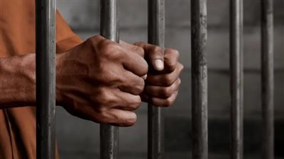 حقيقة ادعاء عاطل باستيلاء مسئولين حكوميين على 1100 فدان بالقليوبية