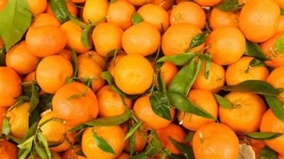 6 أطعمة تُعزز الكولاجين في الجسم بشكل طبيعي.. تعرف إليها