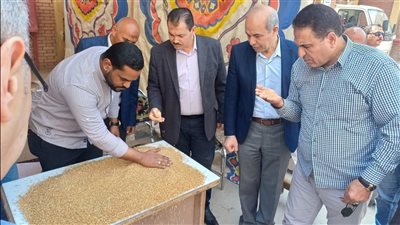 توريد 190 ألف طن قمح بالصوامع والشون في الفيوم