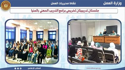 وزارة العمل تنظم سلسلة دورات لتدريب الشباب على المهن المطلوبة