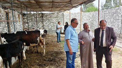 وكيل زراعة البحيرة يتفقد مزارع الثروة الحيوانية لصغار المربين بحوش عيسى