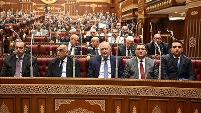 وزير الشئون النيابية عن قانون التحكيم: كلما استطعنا إزالة العقبات اقتربنا من بيئة استثمارية سليمة