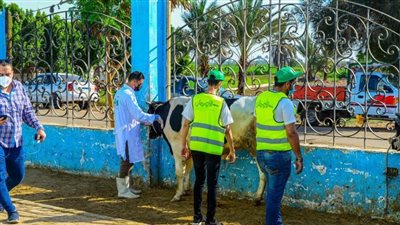 التضامن تزرع البهجة بلحوم الأضاحي في الشرقية.. دعم إنساني يصل إلى القرى الأكثر احتياجًا